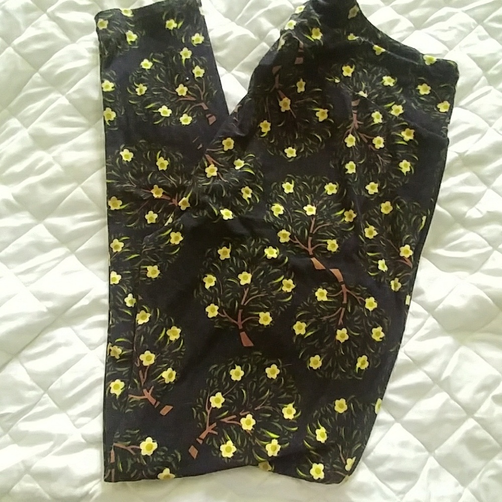 TC Leggings